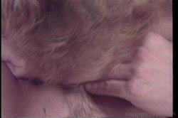'All's Welles' screenshot nº 51