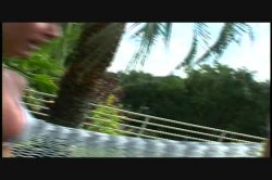 'Transsexual Gang Bangers 8' screenshot nº 2