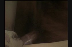 Captura de 'Sex Spell' nº 25