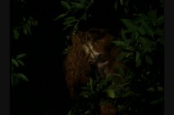Captura de 'Sex Spell' nº 7