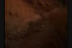 Captura de 'Sex Spell' nº 123