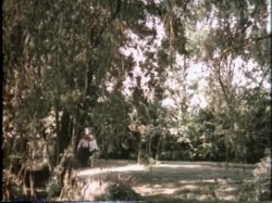 'Introductions' screenshot nº 116