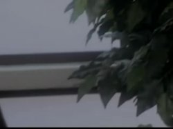 Captura de 'A Taste of the Orient #2' nº 86