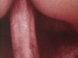 'Nature Lovers 7: Better In The Flesh' screenshot nº 25