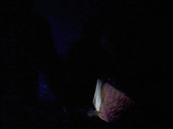 'Spanking American Style 2' screenshot nº 126