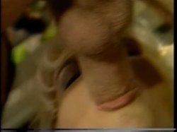 'Pubic Access' screenshot nº 40