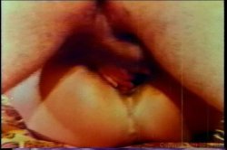 Captura de 'Lee Carroll Collection' nº 104