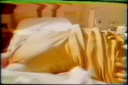 'Kay Parker Collection Vol. 3' screenshot nº 94
