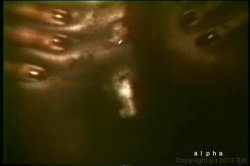 'Black Bra Busters in the 70's' screenshot nº 52