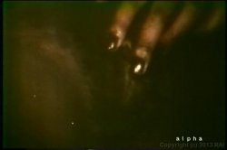 'Black Bra Busters in the 70's' screenshot nº 54
