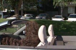 'Rocco's Bitch Party' screenshot nº 115