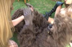 'Rocco's Bitch Party' screenshot nº 129