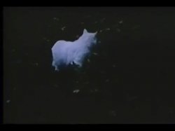 Captura de 'Night Prowlers' nº 2