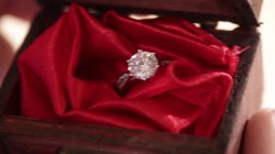 Captura de 'Anal Affair, An' nº 79