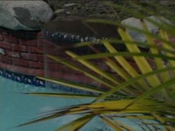 Captura de 'Gangland White Boy Stomp 13' nº 53