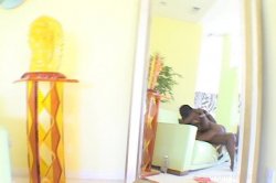 'Lexington Loves Big Black Tits' screenshot nº 133