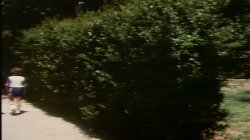 'Private Teacher' screenshot nº 11