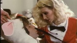 'Private Teacher' screenshot nº 15
