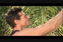 'Life Of Riley' screenshot nº 131