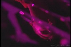 'Scotty's X-Rated Adventure' screenshot nº 102