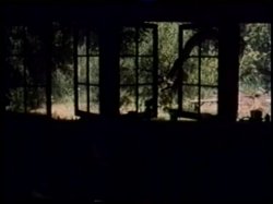 'Female Sensations' screenshot nº 11