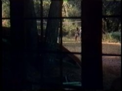 'Female Sensations' screenshot nº 114