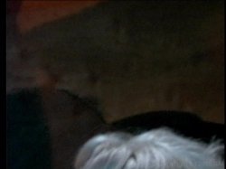 'Overnight Sensation' screenshot nº 48