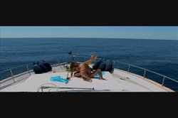 Captura de 'Okasana (Pornochic 10)' nº 35