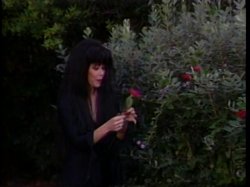 'Maddams Family, The' screenshot nº 133