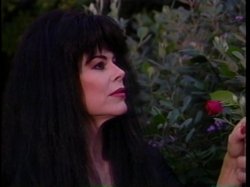 'Maddams Family, The' screenshot nº 134
