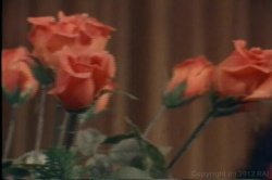 'Back Door Girls' screenshot nº 17