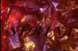 'Back Door Girls' screenshot nº 2
