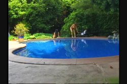 'All Natural 1' screenshot nº 56