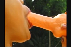 'All Natural 1' screenshot nº 59