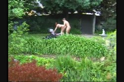 'All Natural 1' screenshot nº 105