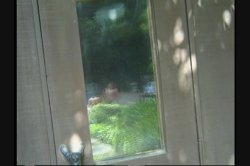 'All Natural 1' screenshot nº 40
