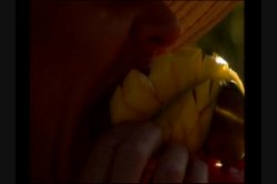 'Candida Royalle's The Bridal Shower' screenshot nº 16