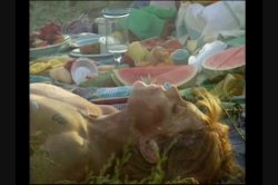 'Candida Royalle's The Bridal Shower' screenshot nº 30
