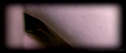 Captura de 'Triple Ecstasy' nº 52