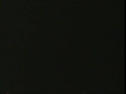 'Jamie Lynn's An Animal' screenshot nº 4