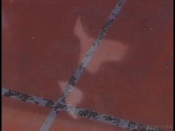 Captura de 'American Nymphette 6' nº 116