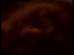 'Cindy' screenshot nº 98