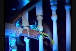 Captura de 'Roxy Rider is in Control' nº 3