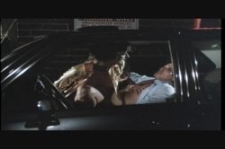 Captura de 'Every Which Way She Can' nº 50