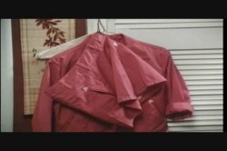 Captura de 'Every Which Way She Can' nº 2