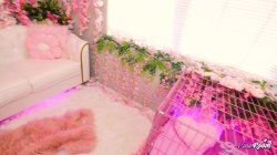 'Pink Room Ep. 30 Tatted Slut Mag Numb Gets Used & Destroyed' screenshot nº 40