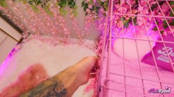 'Pink Room Ep. 30 Tatted Slut Mag Numb Gets Used & Destroyed' screenshot nº 41