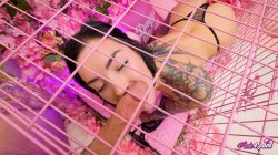 'Pink Room Ep. 30 Tatted Slut Mag Numb Gets Used & Destroyed' screenshot nº 58