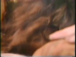 Captura de 'Sharon Mitchell's Porn Players' nº 45