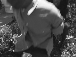 'Black On Black Crime 3' screenshot nº 16